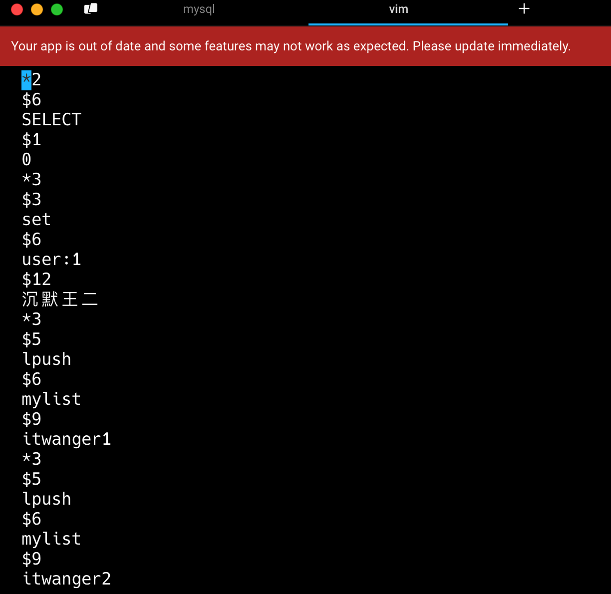 二哥的Java 进阶之路:AOF文件内容